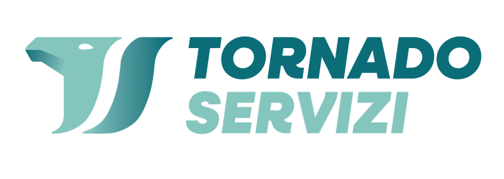 Logo di TORNADO SERVIZI