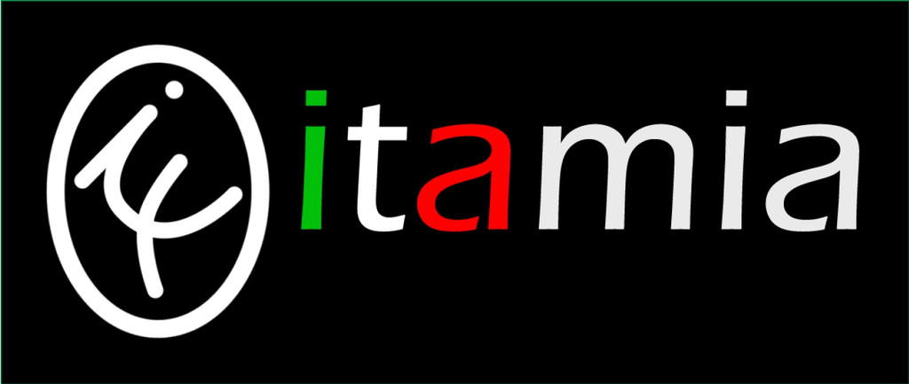Logo di ITAMIA AUTOMOTIVE