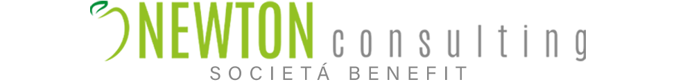 Logo di NEWTON CONSULTING