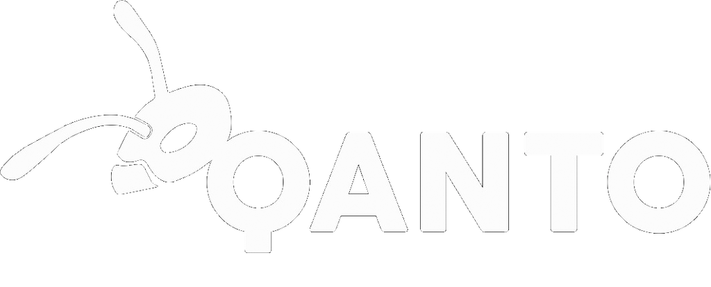 Logo di QANTO GROUP
