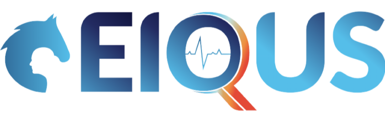 Logo di EIQUS ITALIA