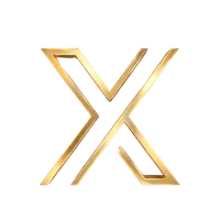 Logo di 100X MENTALITY