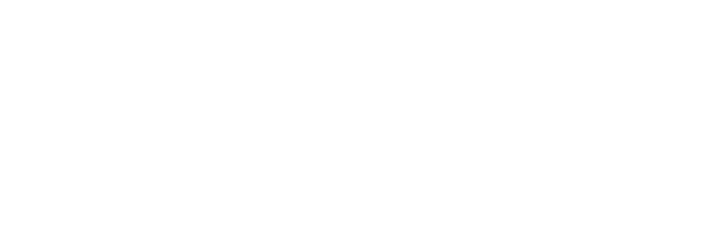 Logo di VIDEAM