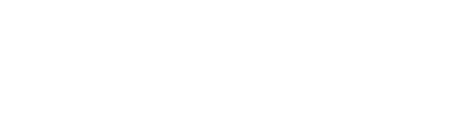 Logo di FORTITUDO DIAMONDS