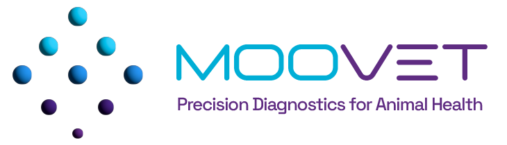 Logo di MOOVET DXC
