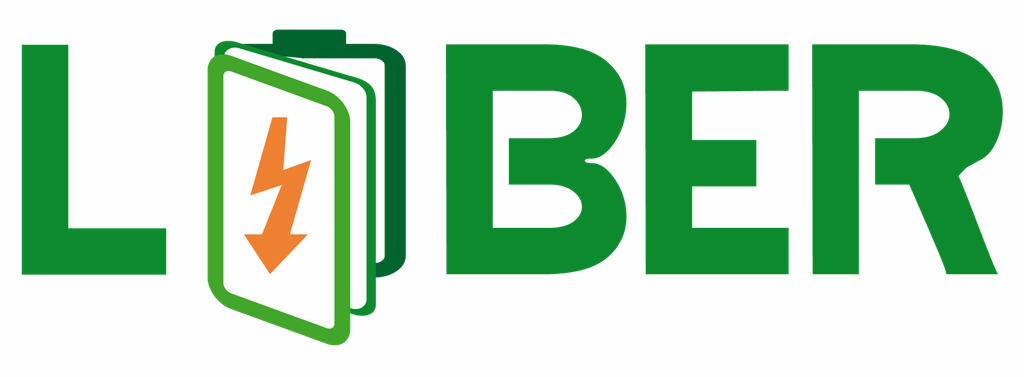Logo di LIBER