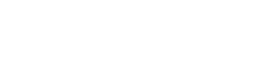 Logo di BENVENUTO HOLDING