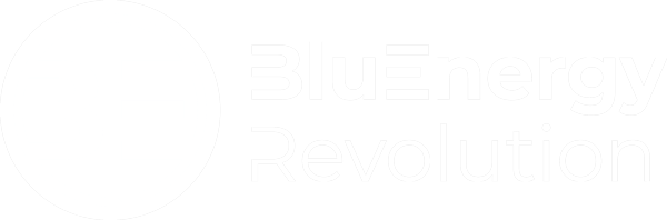 Logo di BLUENERGY REVOLUTION