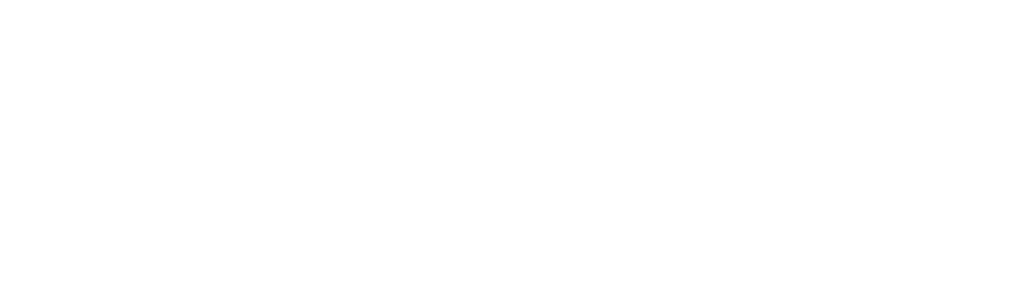 Logo di ARBOR INSIGHT ALPIN
