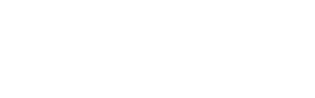 Logo di E.ROI