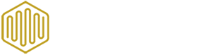 Logo di LABELSCOIN BLOCKCHAIN