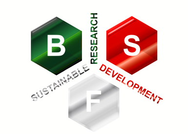 Logo di BFS INNOVAZIONE E SVILUPPO SOSTENIBILE