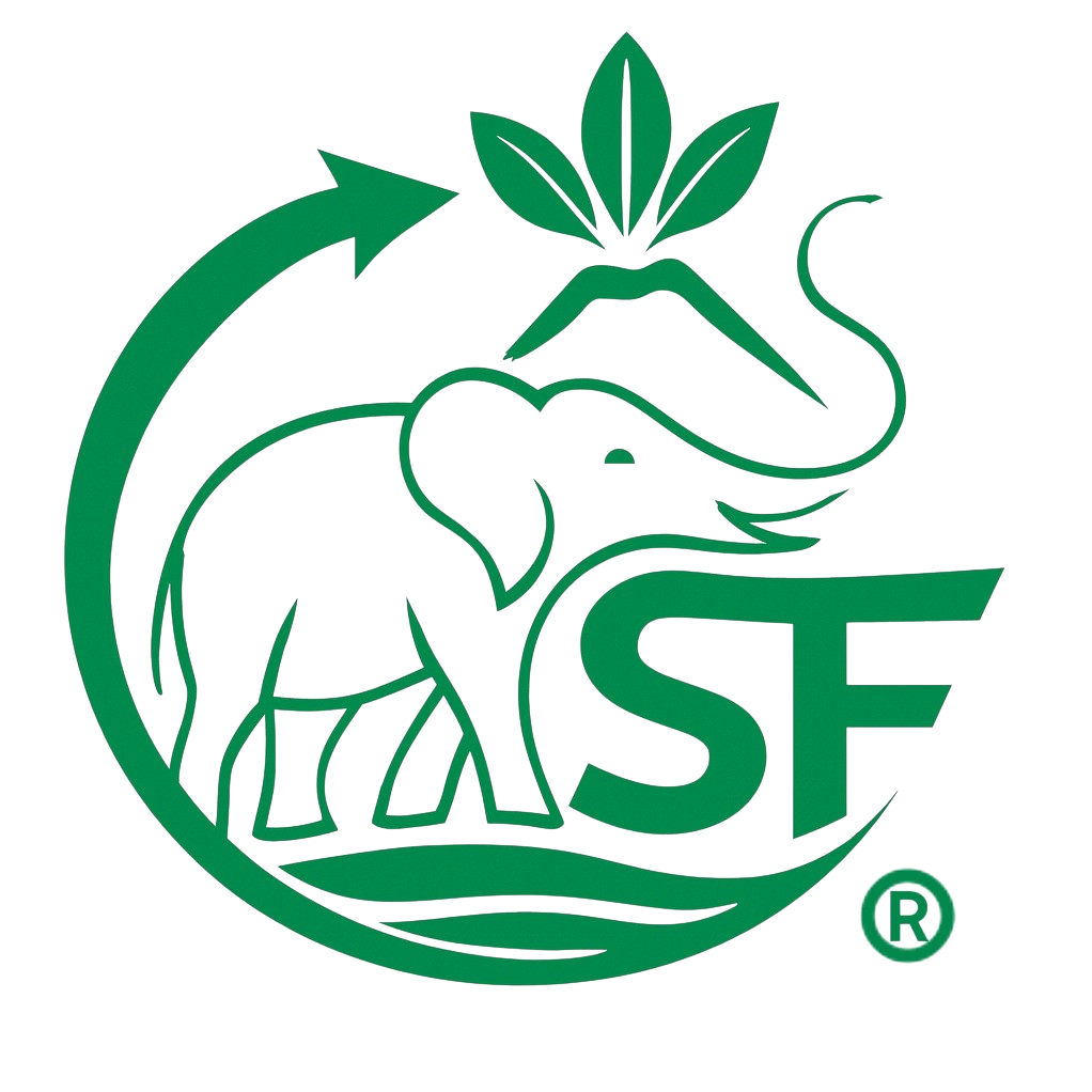 Logo di SYSTEM FUTUR
