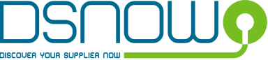Logo di DSNOW