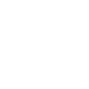 Logo di REDESS