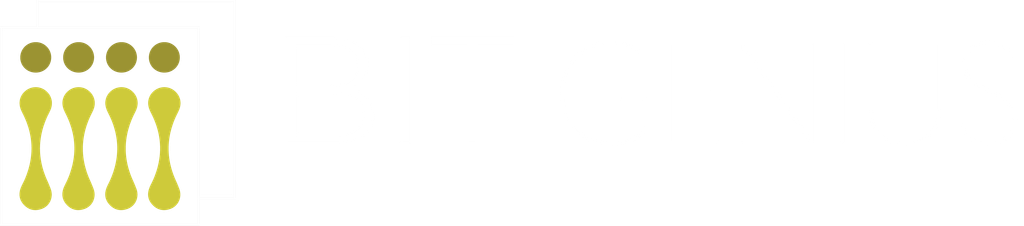 Logo di BIT GENIUS