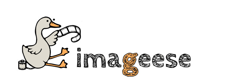 Logo di IMAGEESE