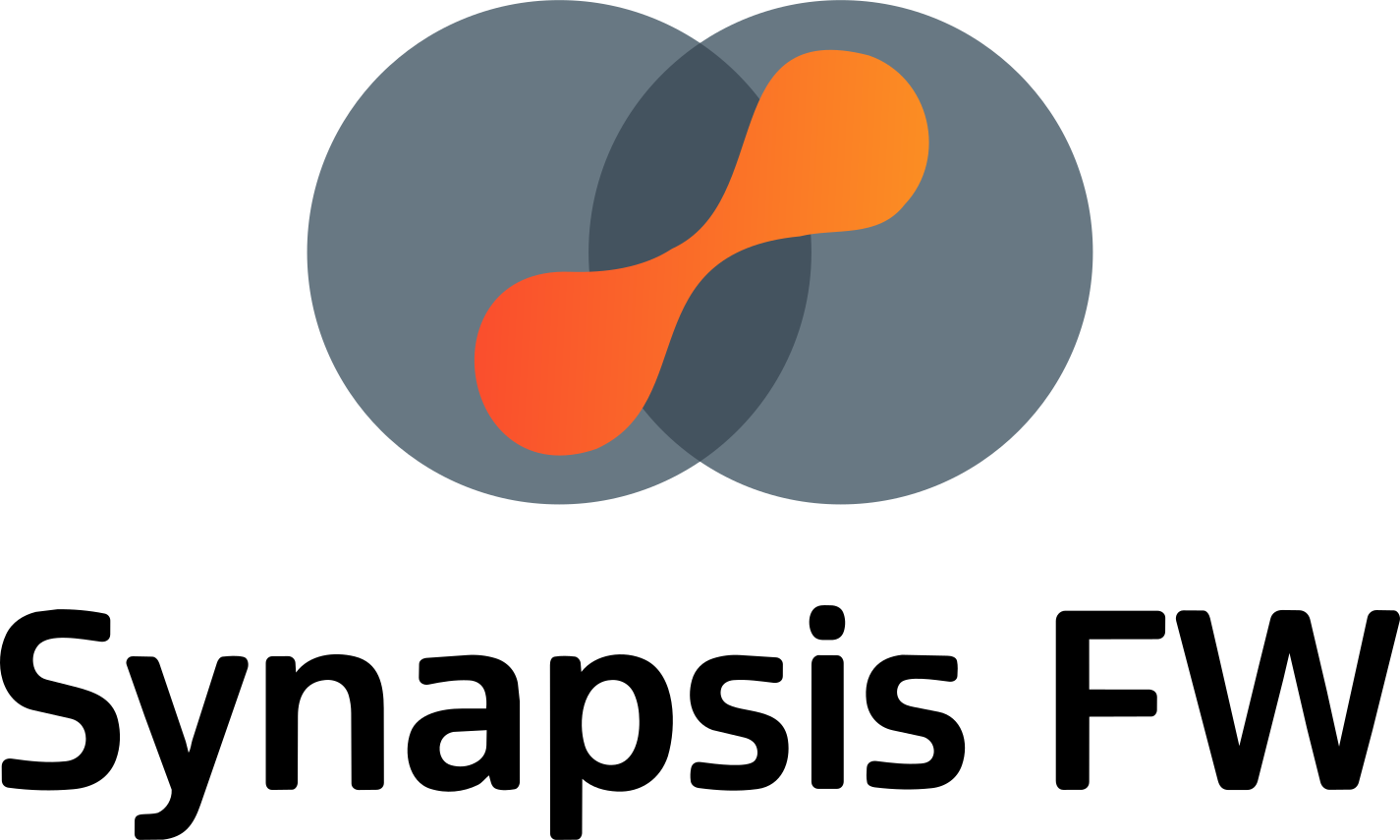 Logo di SYNAPSIS FW
