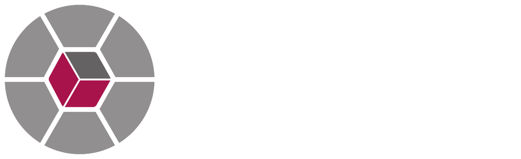 Logo di TURTLE