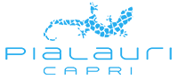 Logo di PIALAURI CAPRI