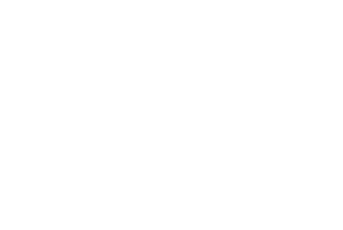 Logo di NUMISMATICA ITALIA