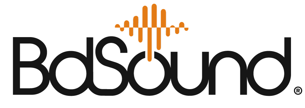 Logo di BDSOUND