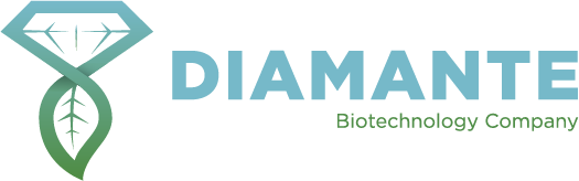 Logo di DIAMANTE