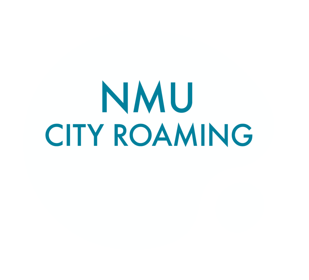 Logo di NMU CITY ROAMING