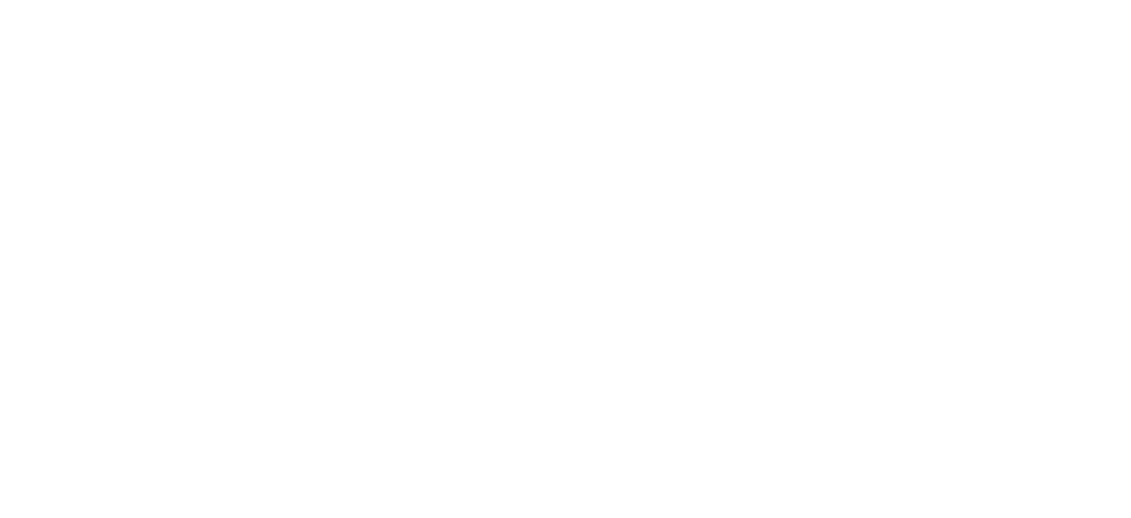 Logo di ROGUE WAVES AI
