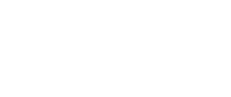 Logo di BIT TONIC