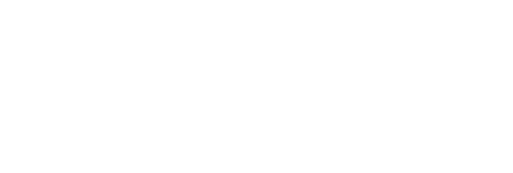 Logo di NATURAL SMARTER PULSE