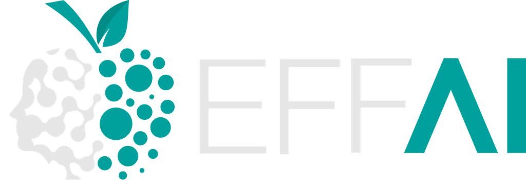 Logo di EFFAI