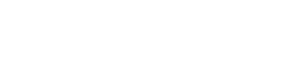 Logo di THE PRODUSER