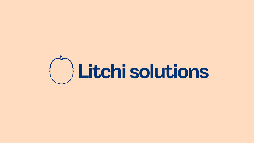 Logo di LITCHI SOLUTIONS