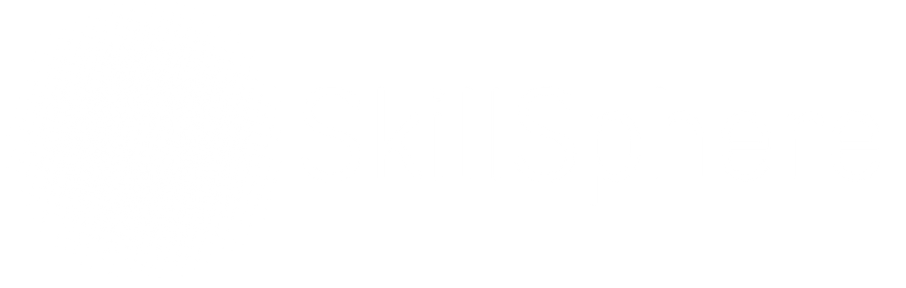 Logo di SKILLSPHERE