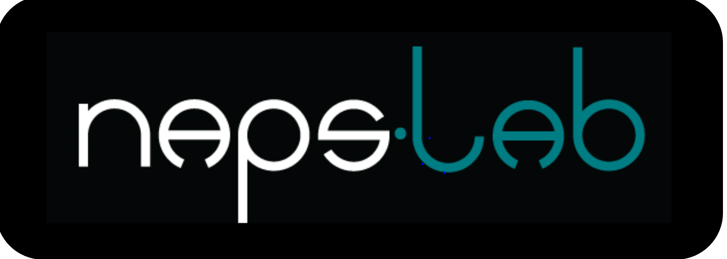 Logo di NAPS LAB