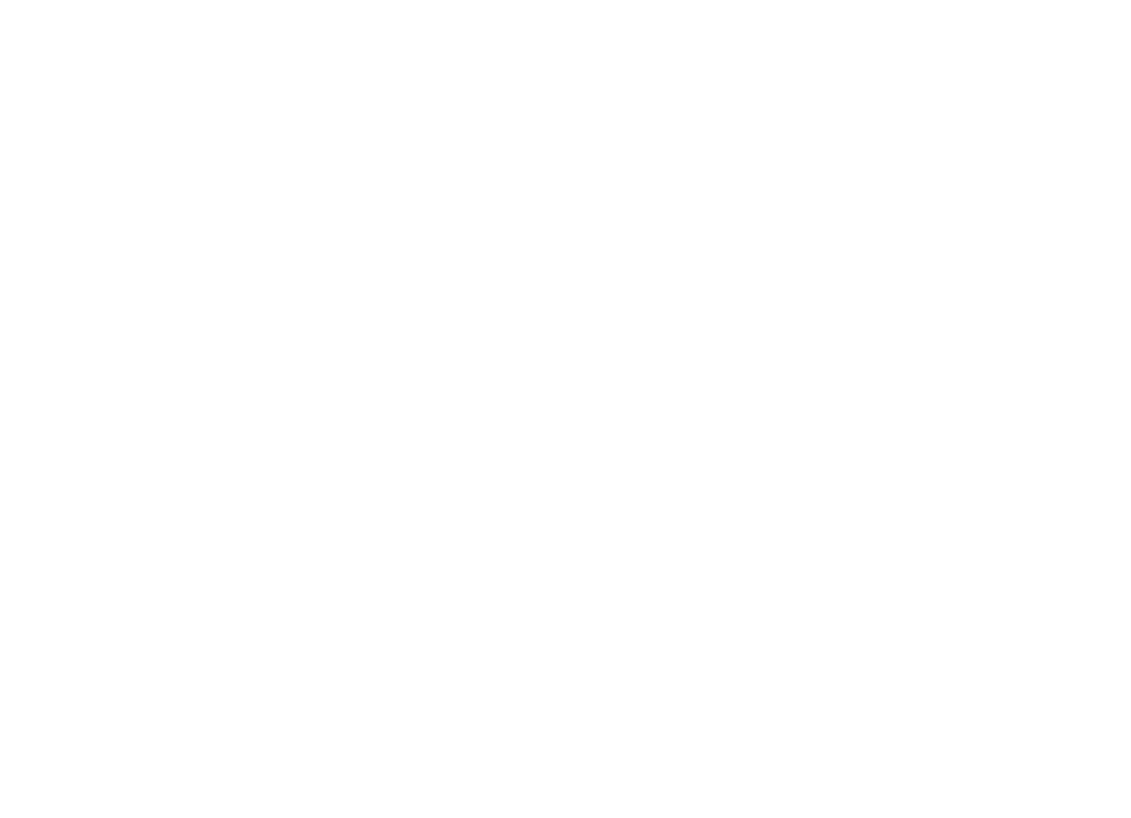 Logo di IINFORMATICA