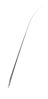 Logo di ANIMA BLOCKCHAIN