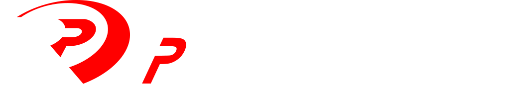 Logo di RAISE PERFORMANCE