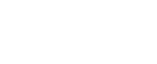 Logo di NS12