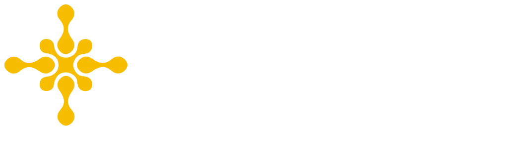 Logo di SANIONA IT