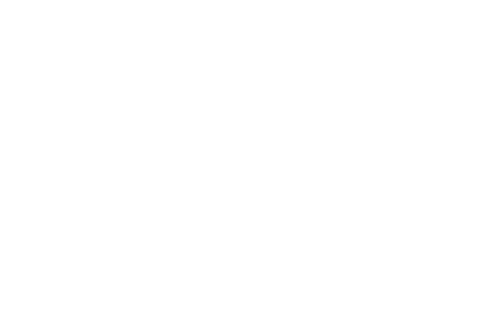 Logo di MISS-SKI