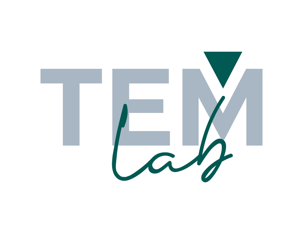 Logo di TEM LAB