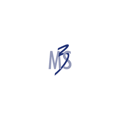 Logo di M3S