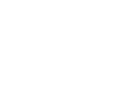 Logo di DS GROUP