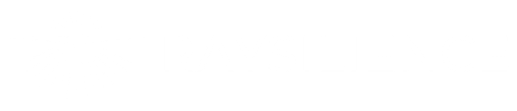Logo di RAYSILIENCE